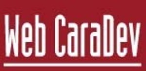 Web Caradev Coulaines, Webmaster