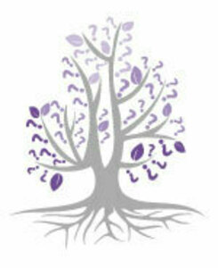 Racines et Secrets EI Pérols, Autre prestataire de services à la personne