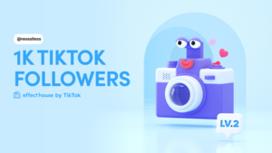 INFLUENCEUR@REUSSITESS Gourbeyre, Autre prestataire de services