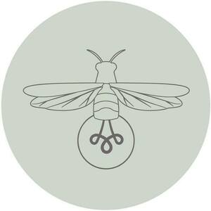 Studio Lampyris Anglet, Photographe