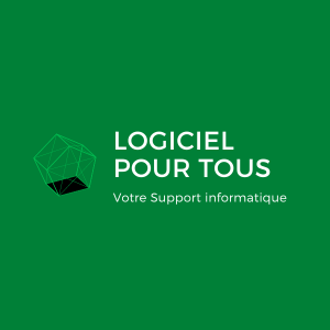 Logiciel pour tous Le Lude, Assistant informatique et internet à domicile, Développeur
