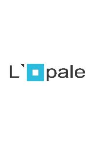 L'Opale Chaumergy, Développeur, Autre prestataire de formation initiale et continue, Conseiller en formation