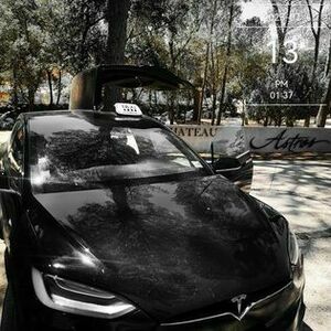 Taxi Brice Gardanne, Chauffeur