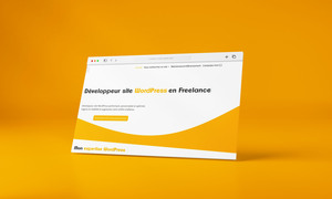 Tony nguyen Dev Reims, Webmaster, Infographiste