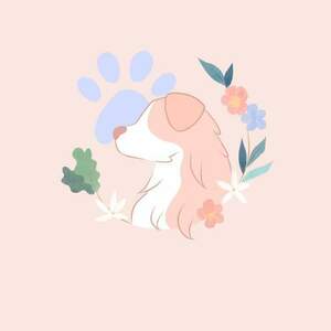 La Patte Tendre  Grasse, Prestataire en soins et promenade d’animaux de compagnie