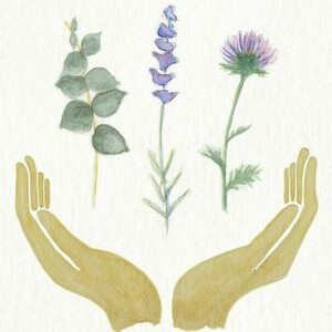 Fanny Toulmond Andilly, Naturopathe, Réflexologue