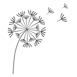 Aubélia MAURICE Lyon, Kinésiologie