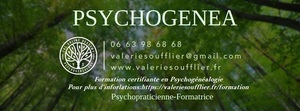 Mme Soufflier Valérie Seillans, Psychothérapeute, Formateur