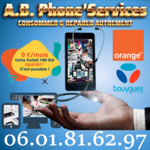 A.B.Phone'Services La Crèche, Professionnel indépendant