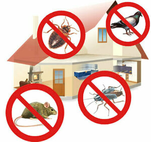 P3D Nuisibles  Fontaine-lès-Dijon, Autre prestataire de services à la personne, Autre prestataire de services