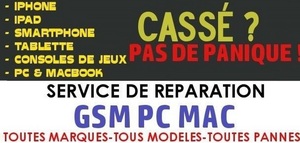 GSM PC MAC Nancy, Assistant informatique et internet à domicile
