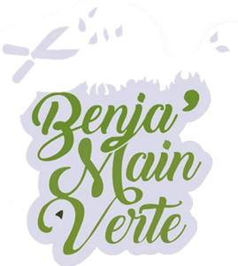 BENJA'MAIN VERTE PAYSAGE Moustéru, Paysagiste