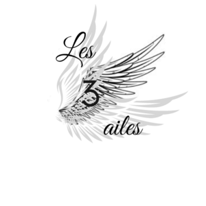 Les 3 ailes Cuxac-d'Aude, Administrateur, Autre prestataire administratif, juridique ou comptable