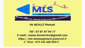 MLS - Manu Livr'Service Strasbourg, Prestataire de petits travaux de bricolage, Déménageur