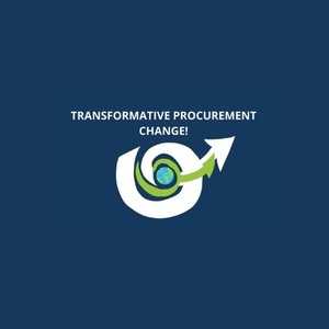Transformative Procurement Change Vallauris, Conseiller de gestion