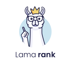 Lama Rank Angers, Conseiller en marketing, Webmaster