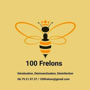 100 frelons  Meillac, Entreprise de désinfection, désinsectisation et dératisation