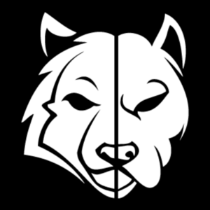 WolfDog Production Strasbourg, Réalisateur audiovisuel