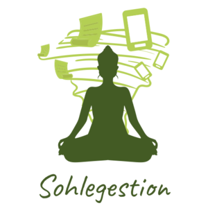 SOHLEGESTION Salernes, Prestataire de services administratifs divers, Consultant