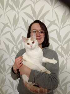 Zen Compagnons  Mézières-sous-Lavardin, Prestataire en soins et promenade d’animaux de compagnie