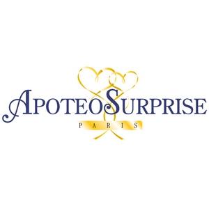 ApoteoSurprise Paris 6, Autre prestataire de services