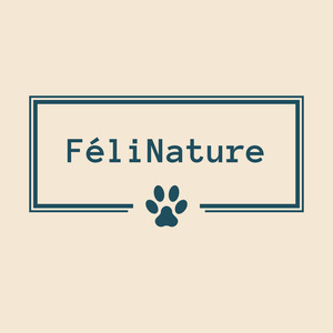 Rongyu LUO Paris 2, Professionnel indépendant