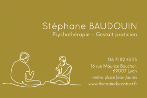 Stéphane Baudouin Lyon, Psychothérapeute
