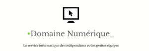 Domaine numérique Paris 10, Conseiller en organisation, Autre prestataire informatique, Conseiller technique