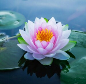 GrenobleThérapie - Marie Hélène Picard Vizille, Professionnel indépendant