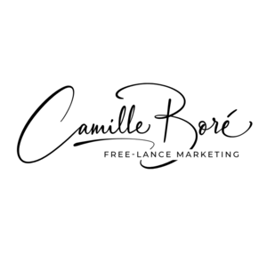 Camille BORÉ Rully, Conseiller en marketing, Chef de projet