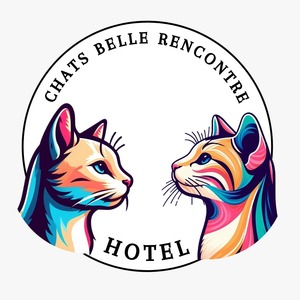 chats-belle-rencontre Nanterre, Administrateur