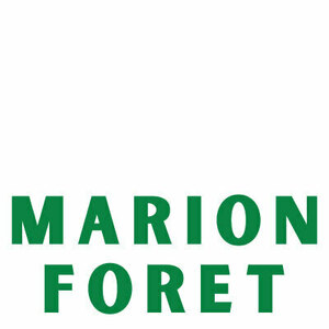 Marion Foret Marsillargues, Graphiste, Consultant