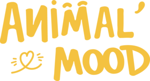 ANIMAL'MOOD Arcangues, Prestataire en soins et promenade d’animaux de compagnie