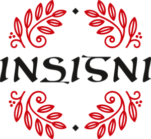 Laurent Leruste Saint-Remy-du-Nord, Webmaster