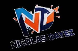 Nicolas Dayez Lille, Consultant