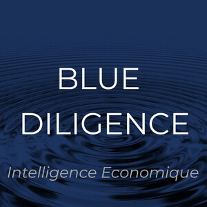 BLUE DILIGENCE Intelligence économique Paris 8, Autre prestataire de services aux entreprises