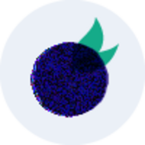 Mirtillo Strasbourg, Développeur