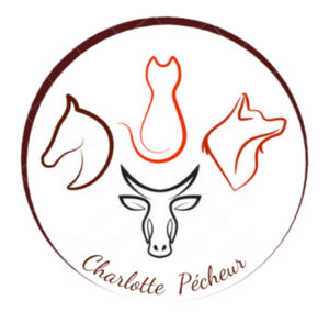 PÉCHEUR Charlotte Nantes, Professionnel indépendant