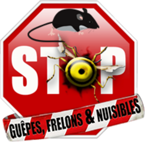 Stop Guêpes, Frelons et Nuisibles Saint-Gaudens, Entreprise de désinfection, désinsectisation et dératisation