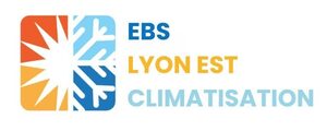 EBS LYON EST Chassieu, Professionnel indépendant