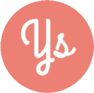 Symplyweb Paris 15, Développeur