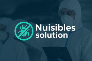 Nuisibles solution Marseille, Entreprise de désinfection, désinsectisation et dératisation