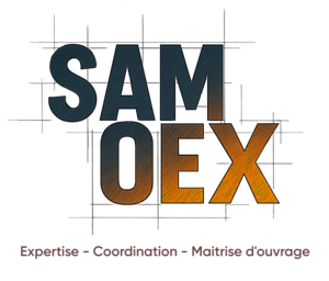 SAMOEX Béthisy-Saint-Martin, Expertises techniques en bâtiment et maîtrise d'œuvre en bâtiment, Conseiller de gestion