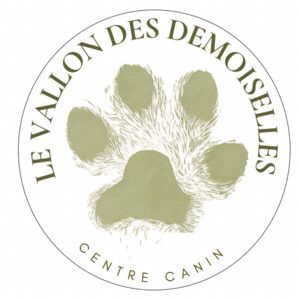 Vallon des Demoiselles Pompignac, Toiletteur d'animaux de compagnie