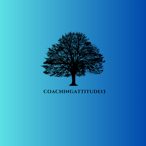 coachingattitude13 Cavaillon, Autre prestataire de services aux entreprises, Autre prestataire de services à la personne, Autre prestataire de services aux entreprises, Coach, Conseiller en management, Consultant