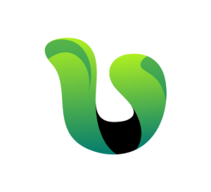 Vertu Web La Rochelle, Développeur, Webmaster