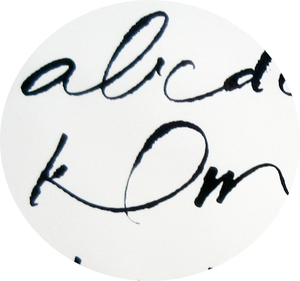 Accompagner votre plume La Rochelle, Correcteur