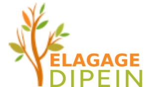 Elagage Dipein Montgeron, Jardinier