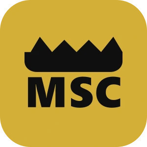 MAJESTIC SOUTH CHAUFFEURS Marseille, Chauffeur