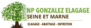 NP Gonzalez Meaux, Professionnel indépendant, Jardinier